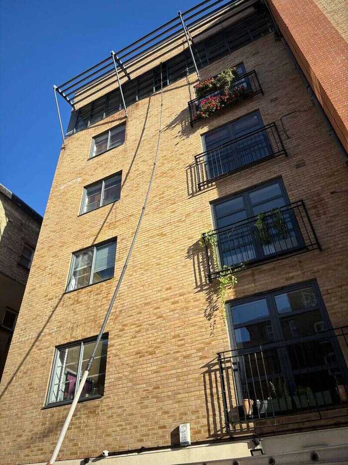 Window cleaner using a long pole beside a residential building and garden